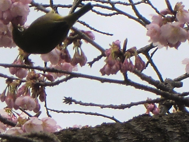 b0044296_20462911.jpg