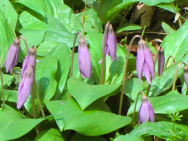 b0044296_20501060.jpg