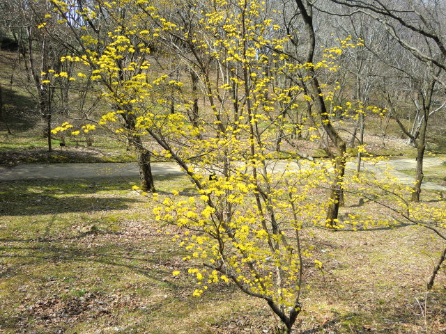 b0044296_20554589.jpg