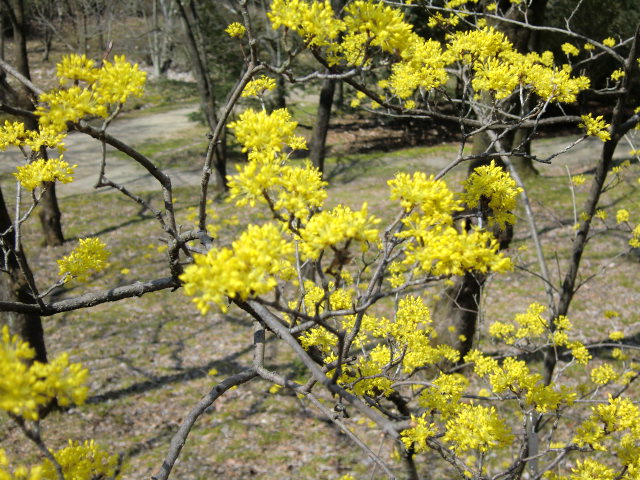 b0044296_20562515.jpg