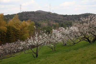 a0123003_12255473.jpg