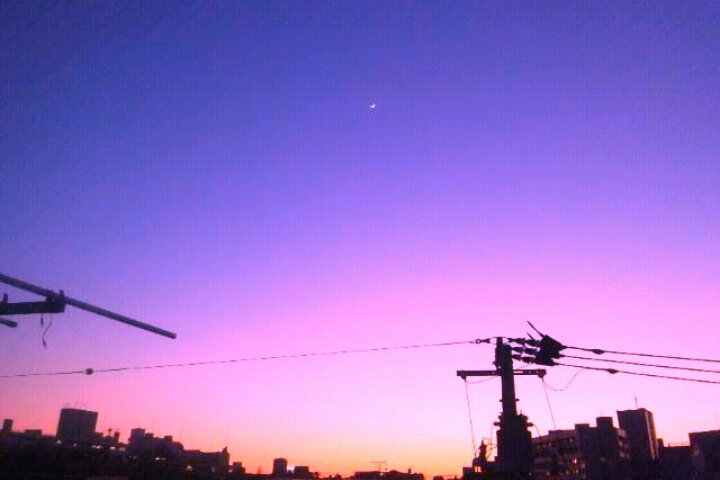 c0190103_23201864.jpg