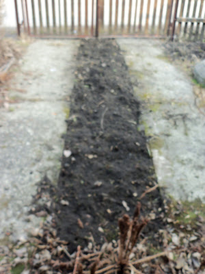 f0154805_1902047.jpg