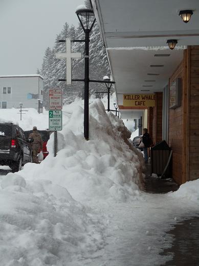 Mar 11 \'12 長旅の後、迎えてくれたのは・・・_d0251307_54658.jpg