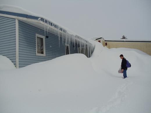 Mar 11 \'12 長旅の後、迎えてくれたのは・・・_d0251307_5543983.jpg