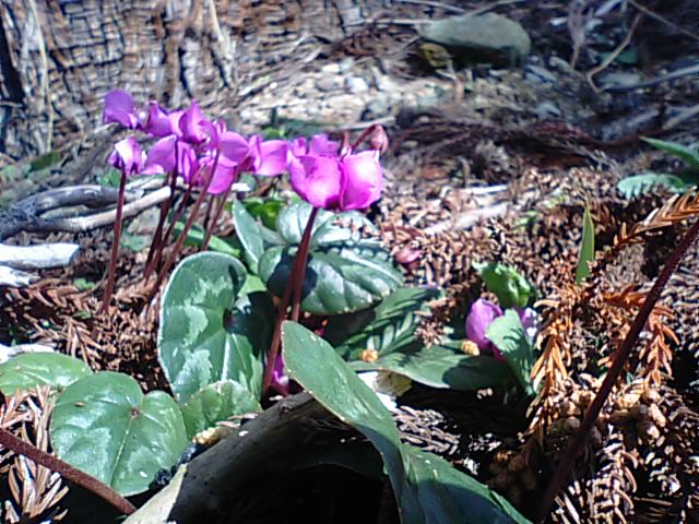 f0231709_11431421.jpg