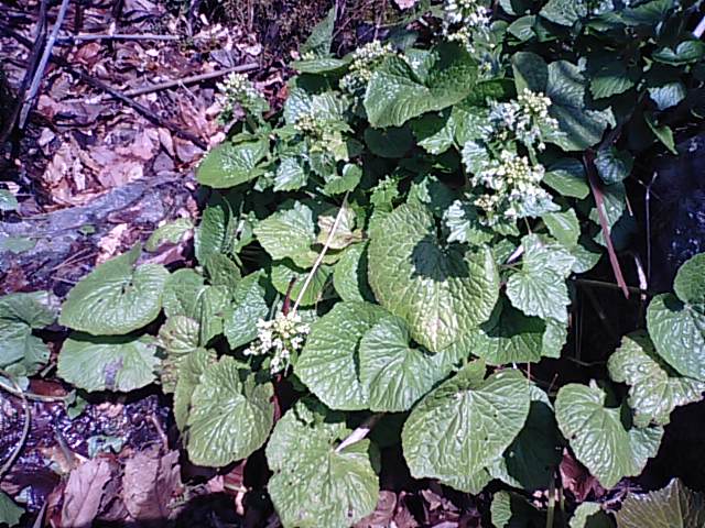 f0231709_12141470.jpg