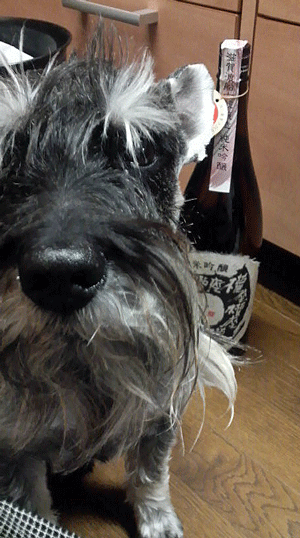 e0020214_18444970.gif