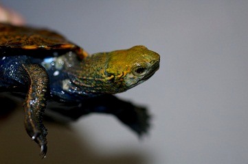 e0254814_0504265.jpg