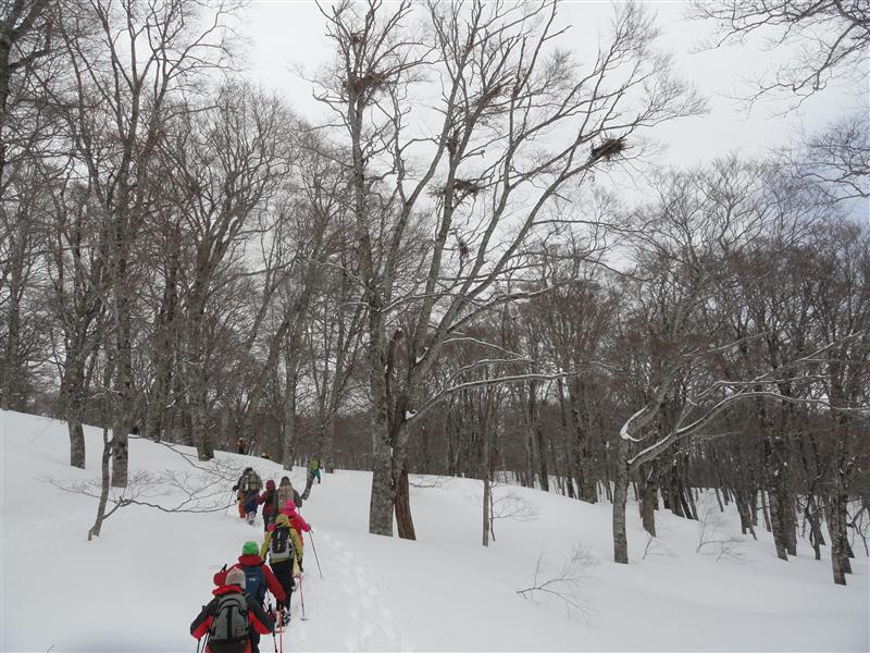 「ブナ平と名残の残雪歩き」(^o^)_a0127015_21495864.jpg