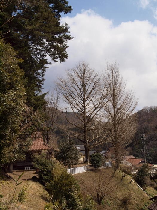 客人神社＆その周辺_c0116915_23195885.jpg