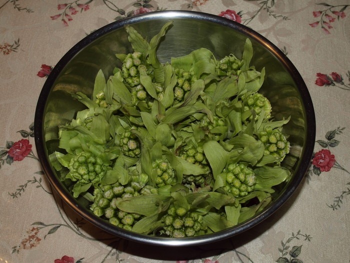 蕗味噌_c0116915_232301.jpg