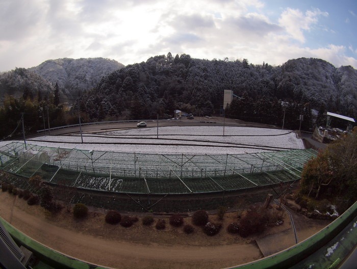 今朝の雪景色&その後_c0116915_2393373.jpg