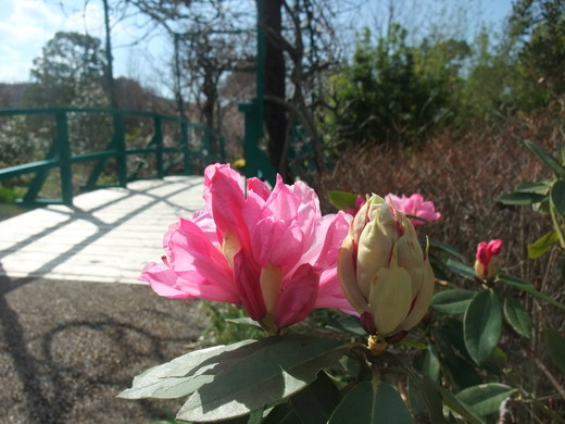 e0135518_11243516.jpg