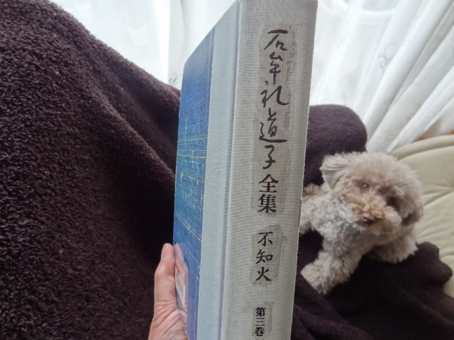 水俣病を知ったらフクシマで行動を　石牟礼道子　全集第三巻「苦界浄土　第三部など」_e0016828_1345297.jpg