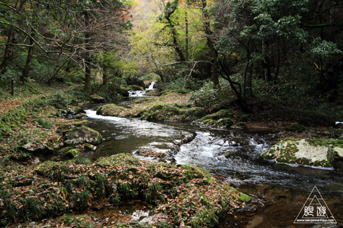 136 八重滝 ~山奥にある八つの滝~_c0211532_1374968.jpg