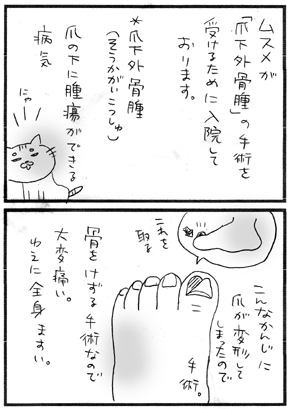 c0019433_23442429.gif