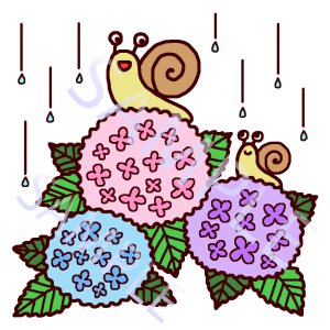 つゆ_c0113733_182335.jpg