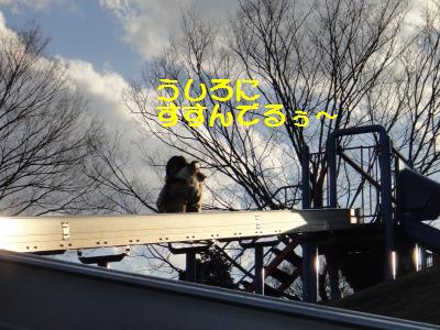 長~いすべり台は楽し_e0195743_15205221.jpg