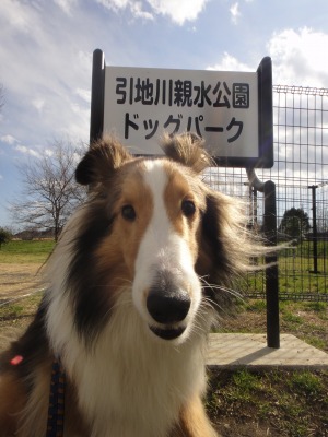 お墓参り&引地川公園_e0195743_214222.jpg