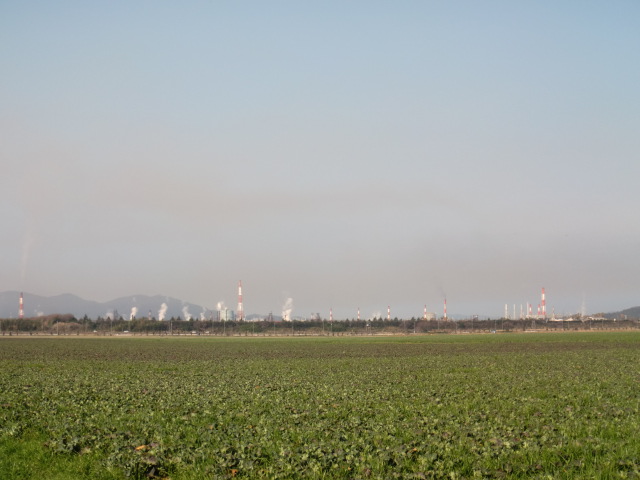 b0152548_16252680.jpg