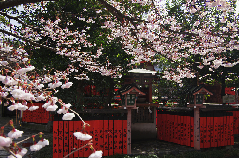 さくら・さくら・うめ・さくら（車折神社）_f0155048_23223119.jpg