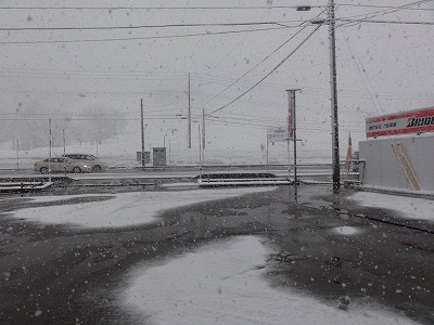 春雪_a0084753_8444146.jpg