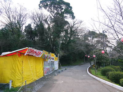 FLC日記 きくちさくら祭・・・嵐の前の静けさ_a0254656_195017100.jpg