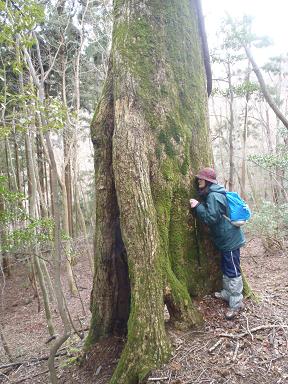 鈴鹿山脈　仙ケ岳　　遂に念願の登頂なるか！_e0044657_23193811.jpg