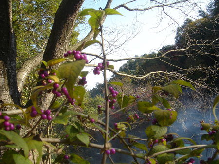 c0108460_02561.jpg