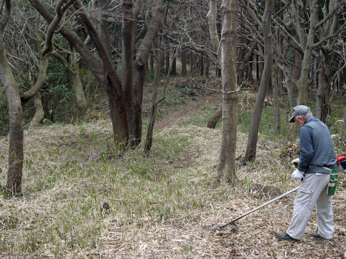 2011年度六国見山森林公園の臨時手入れ終了：3・26_c0014967_20153843.jpg