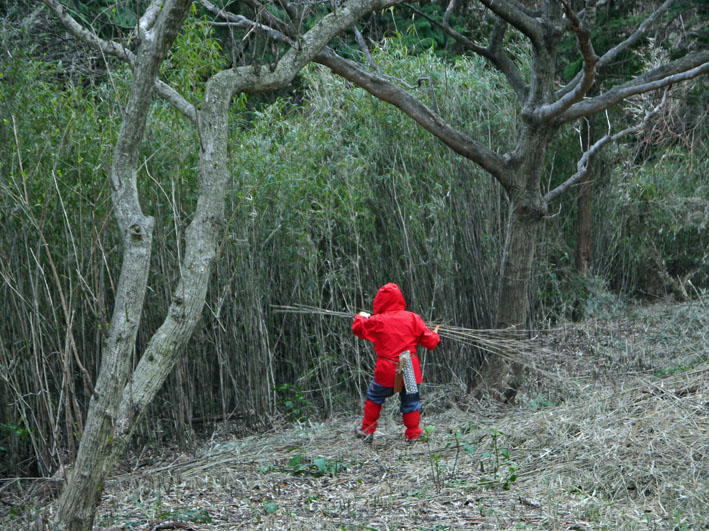 2011年度六国見山森林公園の臨時手入れ終了：3・26_c0014967_20155656.jpg