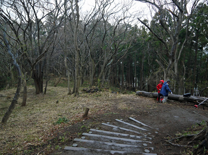 2011年度六国見山森林公園の臨時手入れ終了：3・26_c0014967_20161936.jpg