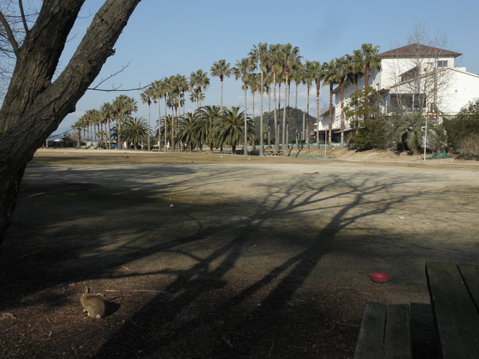 大久野島　２日目＜島の様子＞_c0097371_1231239.jpg