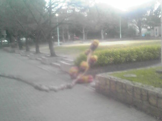f0200477_2235287.jpg
