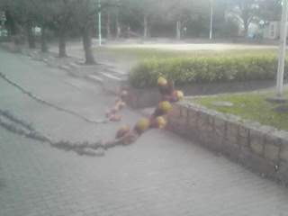 f0200477_2242676.jpg