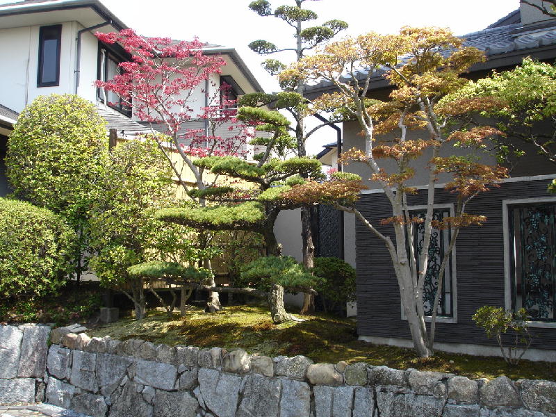 e0267979_12125384.jpg