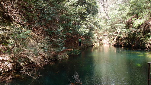 e0024081_14471330.jpg