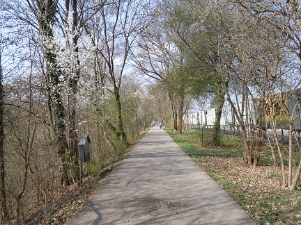 e0255187_1504133.jpg