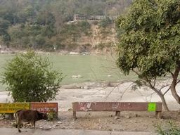 f0227590_1236248.jpg