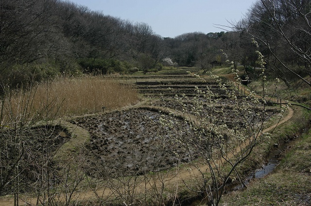 e0070891_19283240.jpg