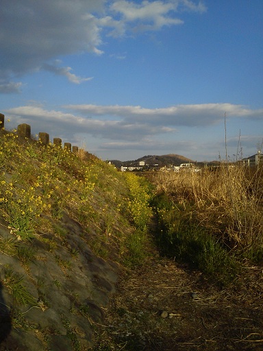 b0067598_20163774.jpg