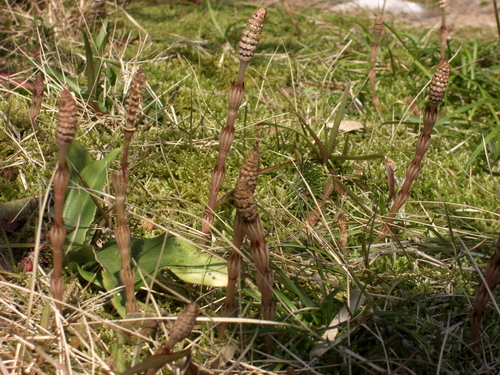 e0252905_17331313.jpg