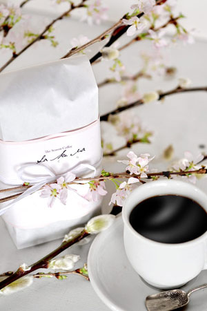 MORIHIKO COFFEE_c0118809_2113409.jpg