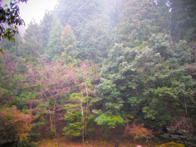 b0183911_21524552.jpg