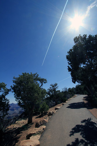 c0148812_1446342.jpg