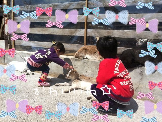 c0220112_156643.jpg