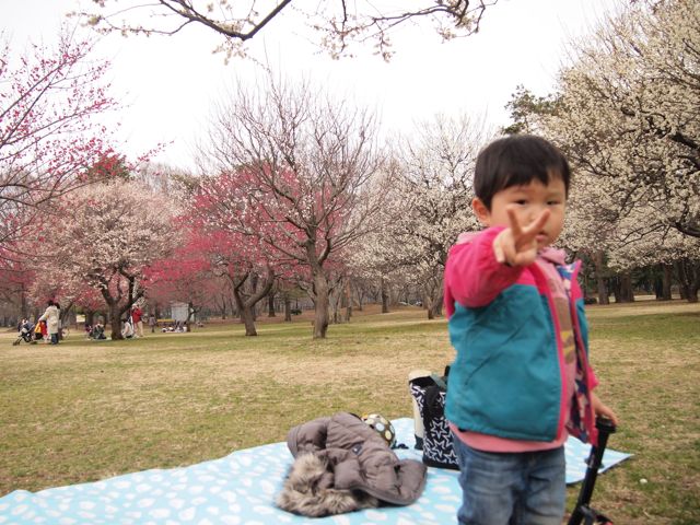 a0151615_1103159.jpg
