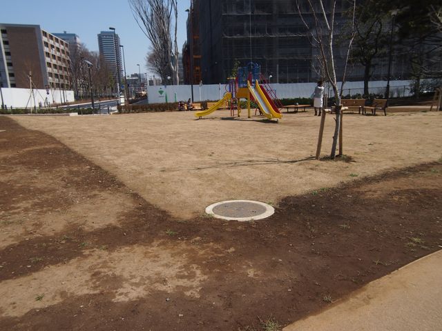 f0217617_1263938.jpg