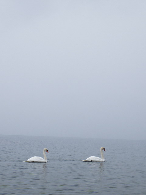 c0202727_20544185.jpg